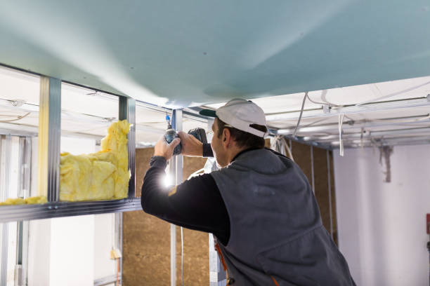 Best Soundproof Insulation Installation  in Bourbonnais, IL