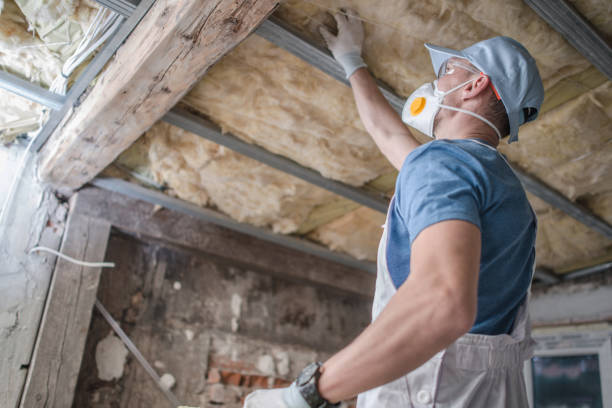 Best Cellulose Insulation  in Bourbonnais, IL